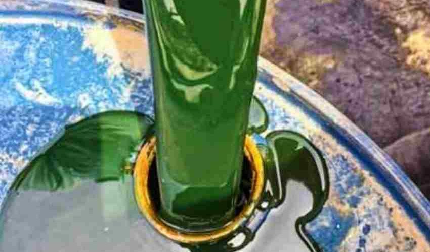روغن ۲۹۰ سنگین ( اکستراکت ، Rpo ، روغن سبز )